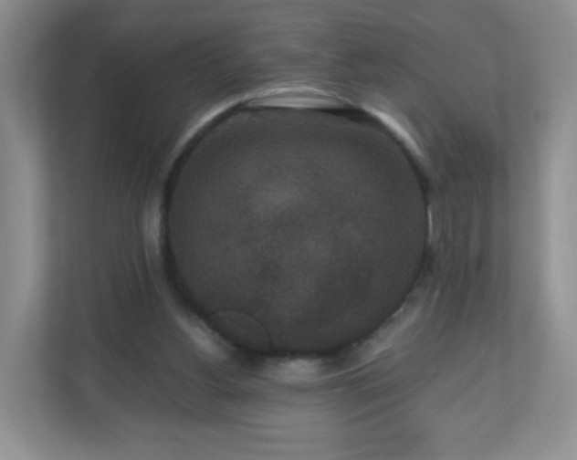 X0000110710156200906191554