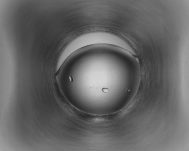 X0000110710158200906191554