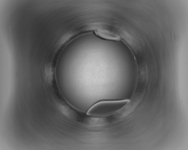 X0000110710160200906191554