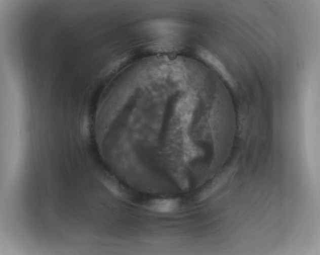 X0000110710161200906191554
