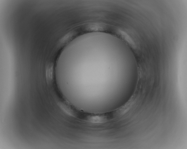X0000110710163200906191554