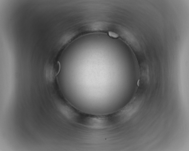 X0000110710164200906191554