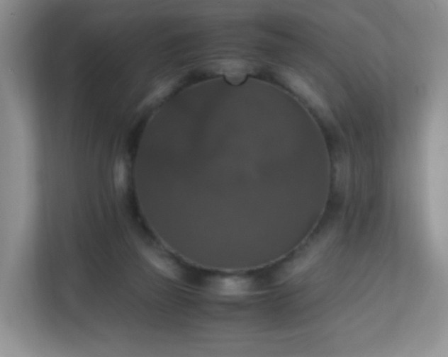 X0000110710165200906191554