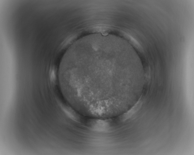 X0000110710166200906191554