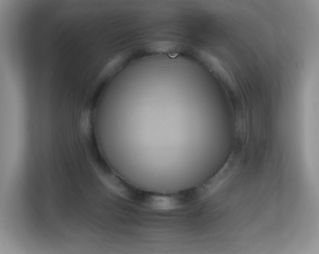 X0000110710167200906191554