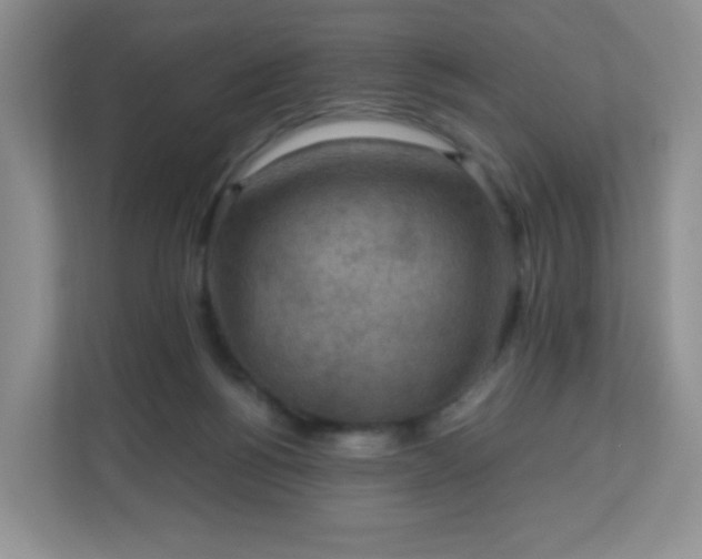 X0000110710168200906191554