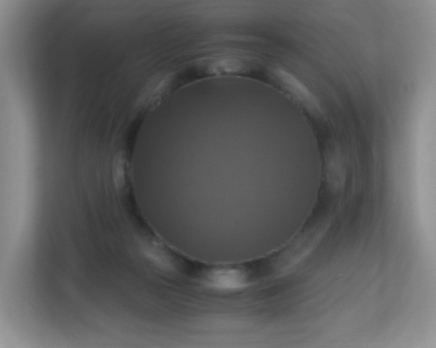 X0000110710169200906191554