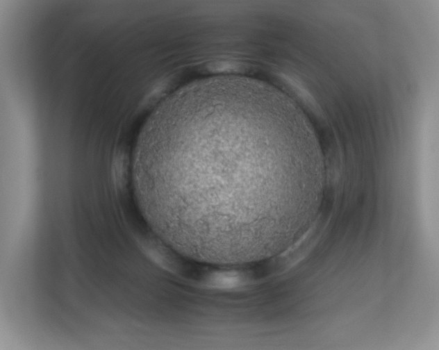 X0000110710171200906191555
