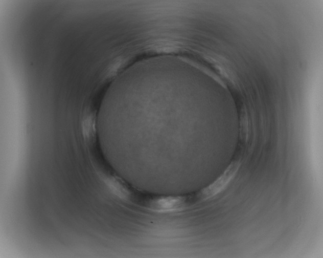 X0000110710172200906191555