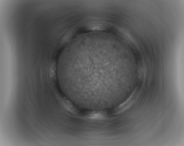 X0000110710175200906191555