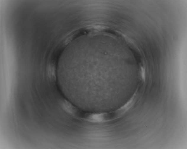 X0000110710178200906191555
