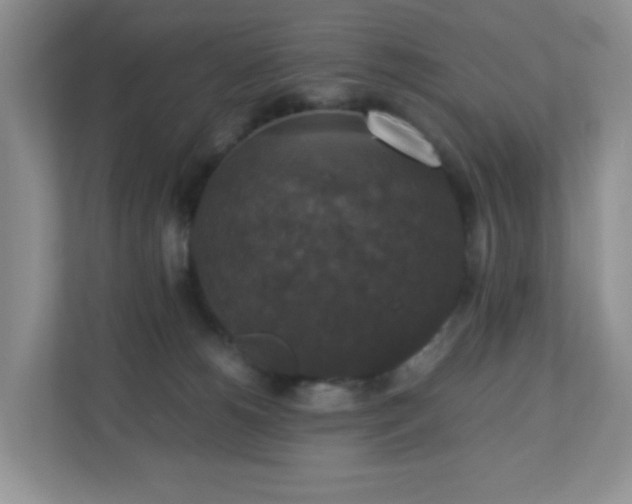 X0000110710180200906191555