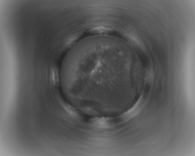 X0000110710182200906191555