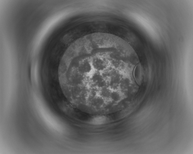 X0000110710189200906191555