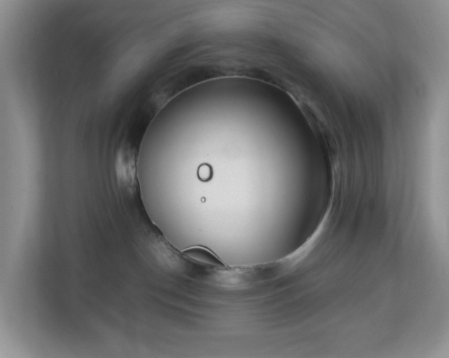 X0000110710190200906191555