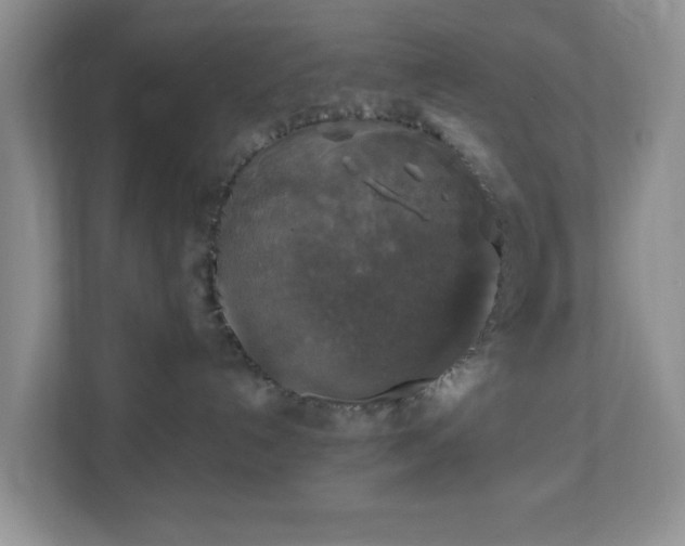 X0000110710192200906191555