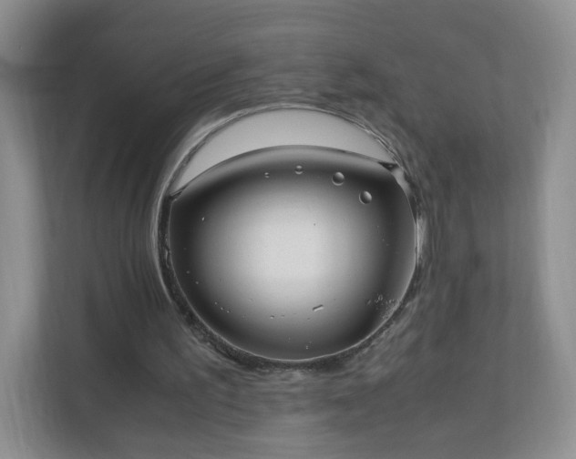 X0000110710195200906191554