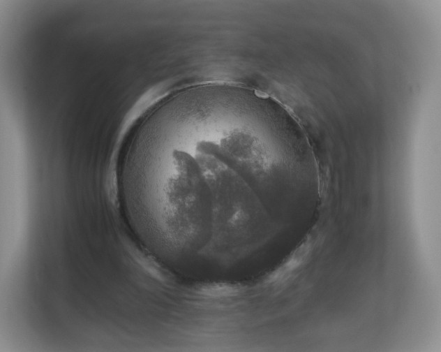 X0000110710198200906191554