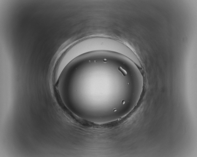 X0000110710199200906191554