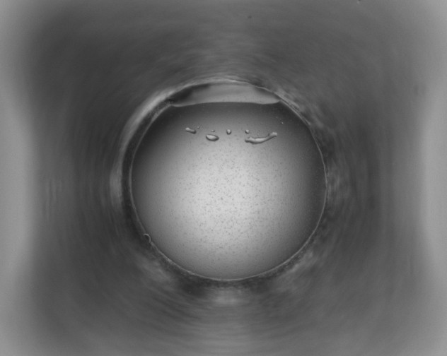 X0000110710200200906191554