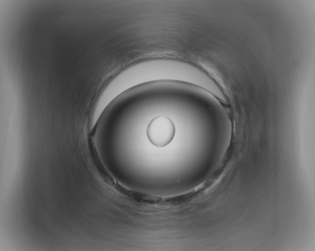 X0000110710201200906191554