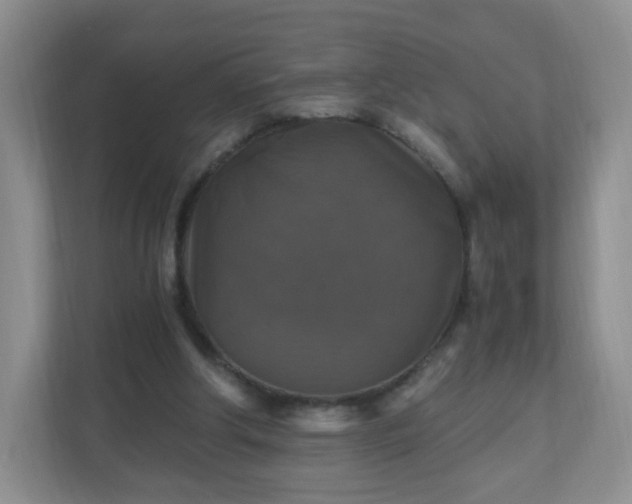 X0000110710202200906191554