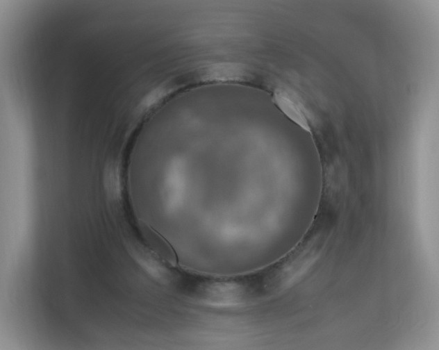 X0000110710203200906191554