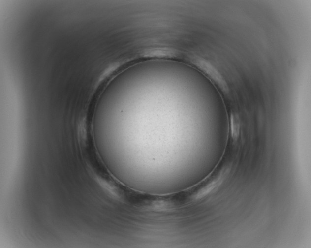 X0000110710204200906191554