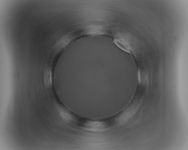 X0000110710205200906191554