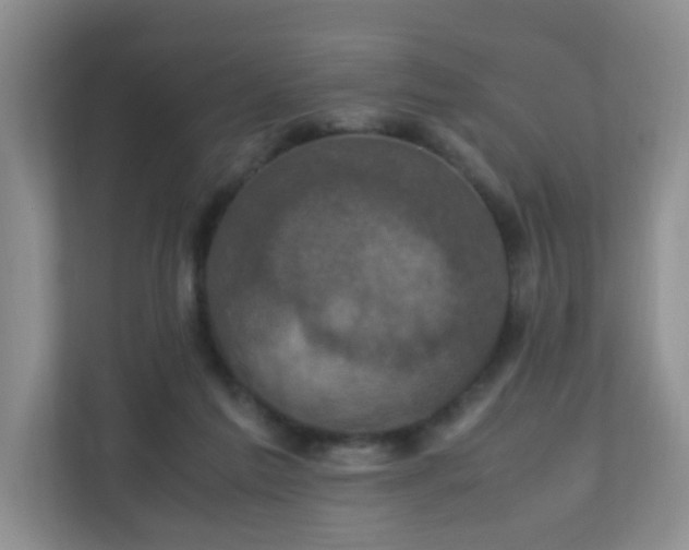 X0000110710213200906191554