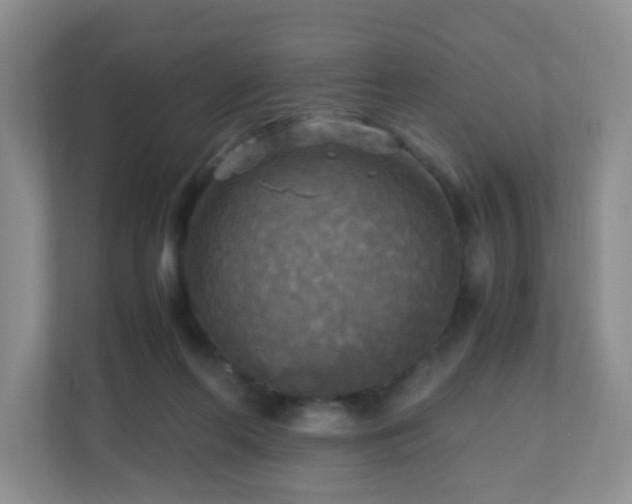 X0000110710214200906191554