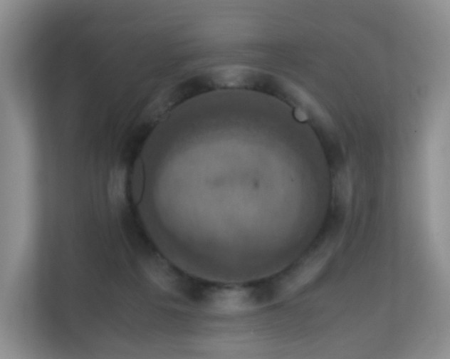 X0000110710217200906191554