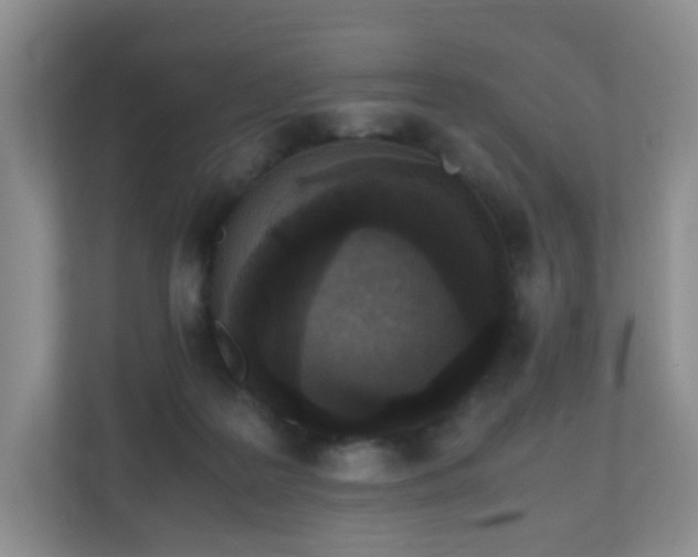 X0000110710219200906191554