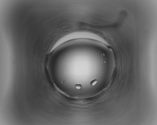 X0000110710221200906191554