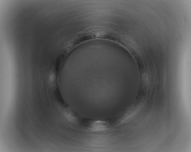 X0000110710222200906191554