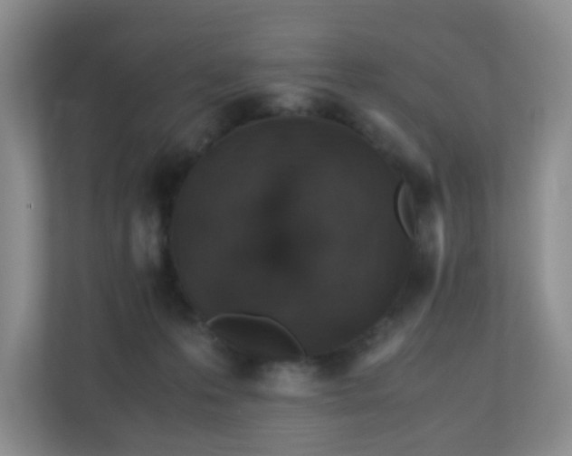 X0000110710223200906191554