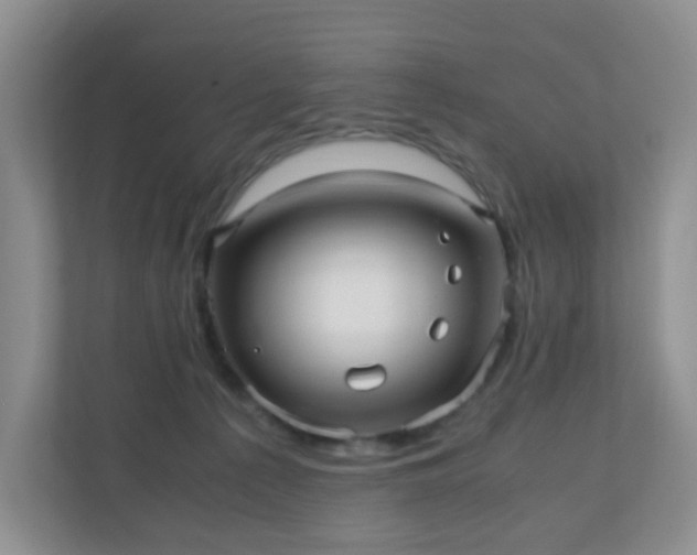 X0000110710225200906191554