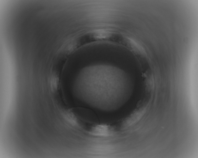 X0000110710227200906191554