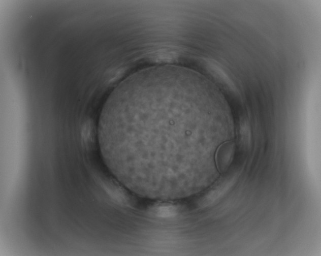 X0000110710228200906191554