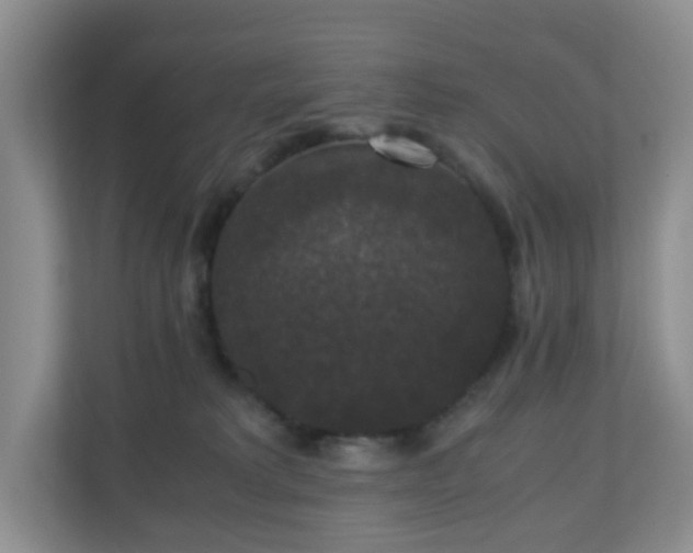 X0000110710229200906191554