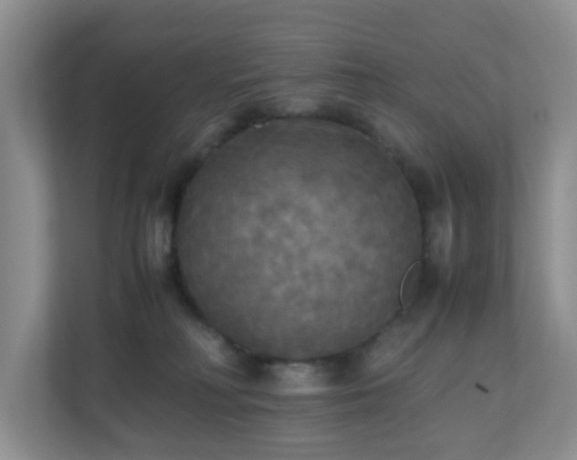 X0000110710230200906191554