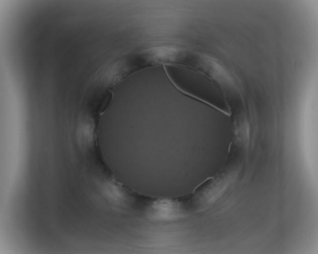 X0000110710231200906191554