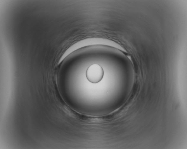 X0000110710233200906191554