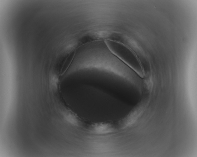 X0000110710235200906191554