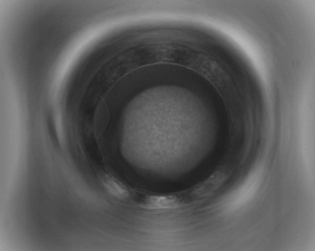 X0000110710239200906191554