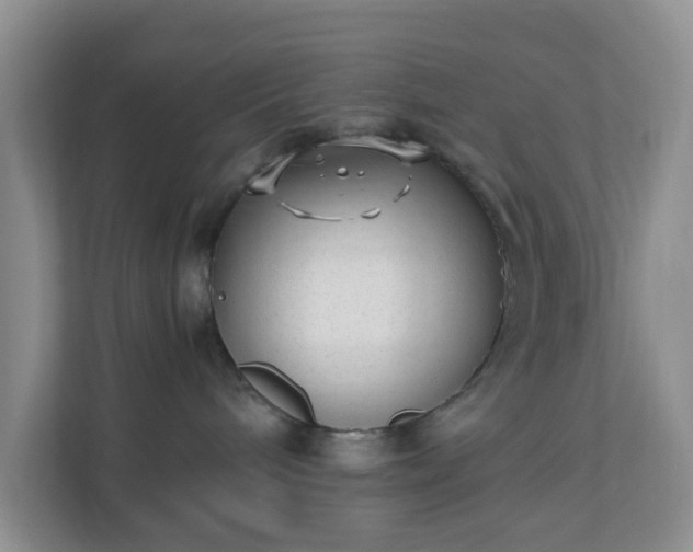X0000110710240200906191554