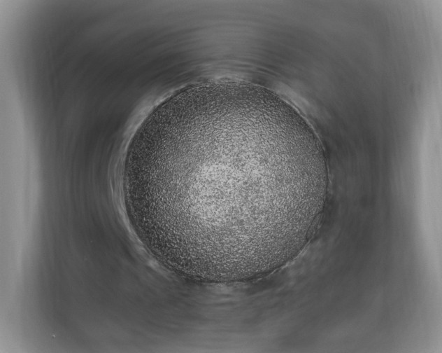 X0000110710241200906191553