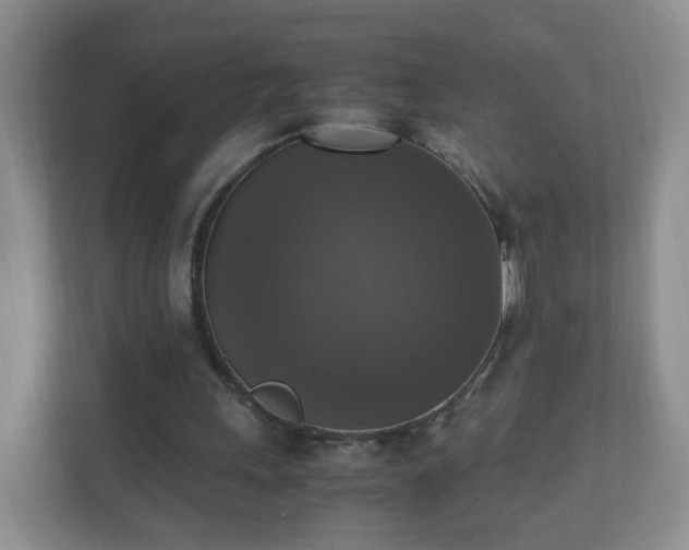 X0000110710243200906191553