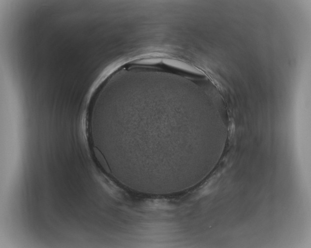 X0000110710244200906191553