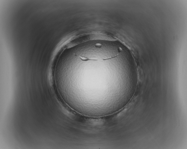 X0000110710245200906191553